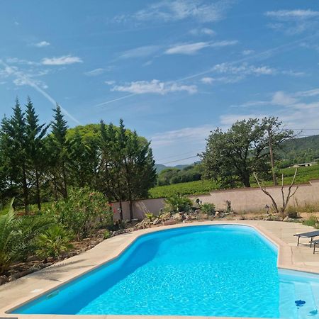 Chambre Face Aux Vignes Vidauban Exteriér fotografie